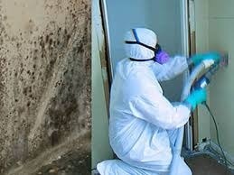What You Need to Know About Melbourne Mould Removal Services | Capitalrestoration Cleaning | Scoop.it