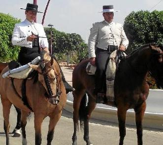 El IV Concurso de Paseo de Caballos incluye este a&ntilde;o propuestas ... - La Voz de Almer&iacute;a | Caballo, Caballos | Scoop.it