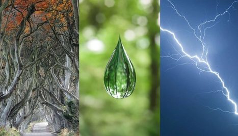 The 3 Biggest Baby Name Trends of the Decade | Name News | Scoop.it