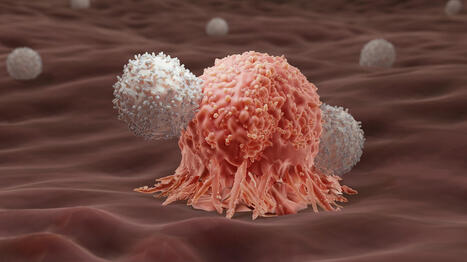 Cancer-free for 18 years: CAR-T therapy sets new milestone in neuroblastoma treatment | Genetic Engineering Publications - GEG Tech top picks | Scoop.it