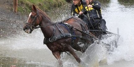 Les as de l'attelage font le show au Domaine de Sers - La République des Pyrénées | Cheval et sport | Scoop.it