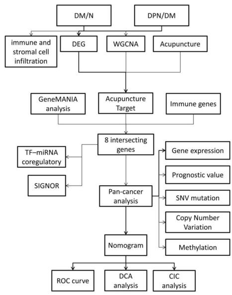 Evidence-Based Perspectives in Advances of Complementary and Alternati | JMDH | Dove Medical Press | AIHCP Magazine, Articles & Discussions | Scoop.it