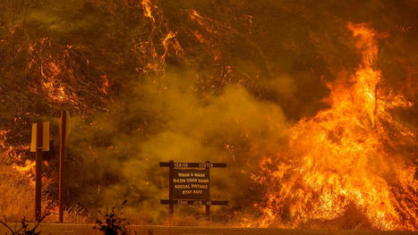Increasing Disasters Are ‘Setting Humanity on a Spiral of Self-Destruction,’ UN Warns - EcoWatch.com | Operation Deimos | Scoop.it