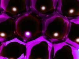 Traitement du Zona avec des ingr&eacute;dients naturels? | Aromathologie | Scoop.it