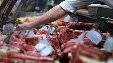 Bactérie E. Coli : de la viande hachée contaminée rappelée partout en France | Toxique, soyons vigilant ! | Scoop.it