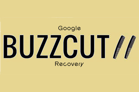 Google Buzzcut Recovery - A Harrowing Tale of SEO & 404s via Curagami | Must Design | Scoop.it