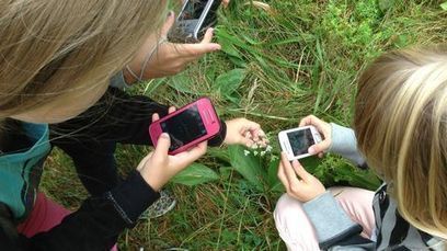 &Auml;lypuhelimet tekev&auml;t kasvikansiosta v&auml;hemm&auml;n tuskallisen | 1Uutiset - Lukemisen t&auml;hden | Scoop.it