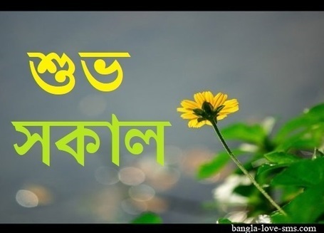 Bengali Good Morning Bangla Wishes Images Pictu