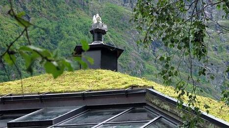 Une toiture écolo pour ma maison | Build Green, pour un habitat écologique | Scoop.it