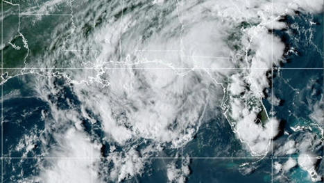 Tropical Storm Mindy threatens flooding in Florida panhandle - TheHill.com | Operation Deimos | Scoop.it