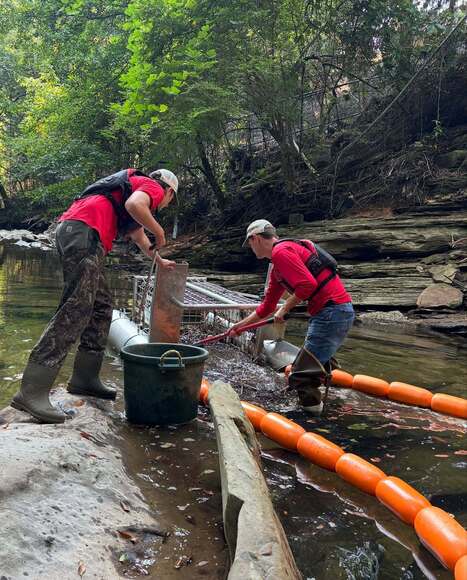Osprey Initiative removes over 9,300 lbs of waste from Alabama rivers | Industry 411 - Waste Management | Scoop.it