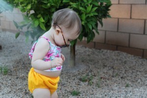 alva baby swim diapers