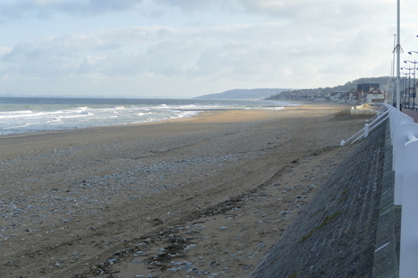 Villers-sur-Mer : un engagement et un label pour la biodiversit&eacute; | Une semaine d'actu - Newsletter de veille de l'AURH | Scoop.it
