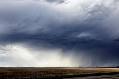 US farmers issue warning as severe weather causes major crop damage: 'It's kind of depressing' - The Cool Down | Operation Deimos | Scoop.it