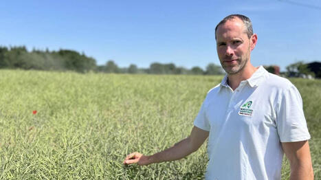 Depuis presque vingt ans, cette ferme &eacute;value l&rsquo;impact d&rsquo;un faible recours aux pesticides - Ouest France | Pour innover en agriculture | Scoop.it
