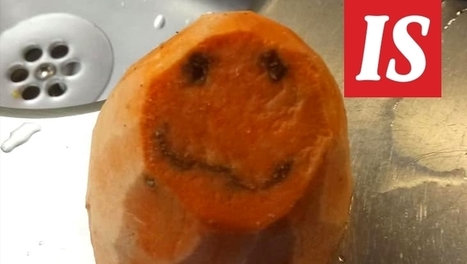 Iso saalis ja pillua porno