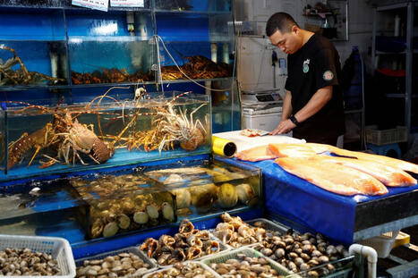 TRADE: China agrees to lift ban on Japanese seafood imports | Revue de presse - Club DEMETER | Scoop.it