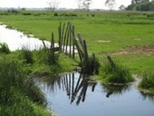 Quand gestion hydraulique rime avec continuité écologique dans les zones humides en aval des cours d'eau - 30 septembre 2013 | Biodiversité | Scoop.it