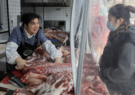 CHINA: Disgruntled with Western pork, the country wants to go back to black pigs | ASIES | Scoop.it