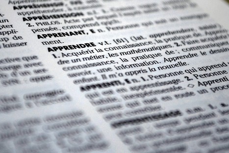 Le «dico» résiste au temps | Je révise mon français grâce à la presse | Scoop.it