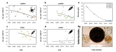 Des données à long terme sur les paysages agricoles indiquent que le déclin des insectes favorise les ravageurs bien adaptés aux changements environnementaux | EntomoNews | Scoop.it