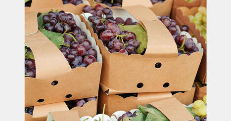 F&L: Saudi Arabia issues new fruit and vegetable packaging rules | FRUITS ET LÉGUMES | Scoop.it