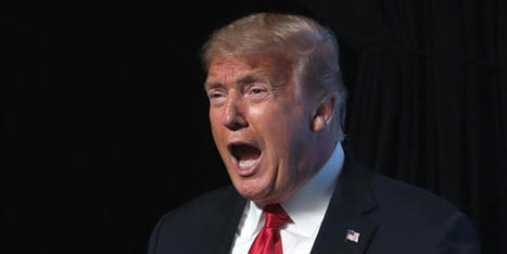 Trump blows off responsibility for judgment in E. Jean Carroll case: 'My numbers went up' - RawStory.com | Operation Oya | Scoop.it