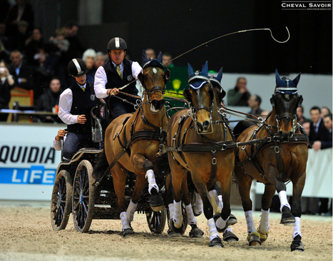 World Cup d'attelage : Bordeaux couronne Exell | Cheval et sport | Scoop.it