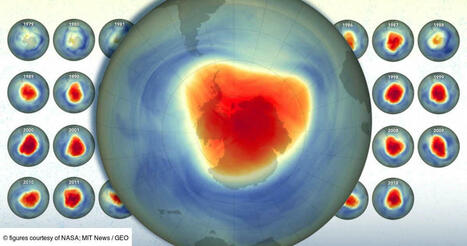 Bonne nouvelle: la couche d'ozone se répare bien grâce aux efforts internationaux (MIT) | business analyst | Scoop.it