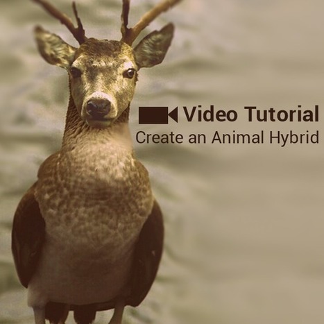 Photo Editing Tutorial on How to Create an Animal Hybrid with PicsArt | Photo Editing Software and Applications | Scoop.it