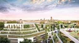 Nouvelle gamme de couverts végétaux signée LE PRIEURÉ | Build Green, pour un habitat écologique | Scoop.it