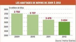 En Allemagne, du maigre issu du troupeau laitier - 25-10-2013 - REUSSIR BOVINS VIANDE | SCIENCES DE L' ANIMAL | Scoop.it