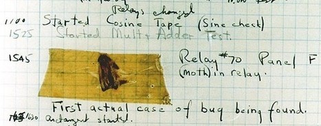 Le premier "bug" informatique était un papillon de nuit | Variétés entomologiques | Scoop.it
