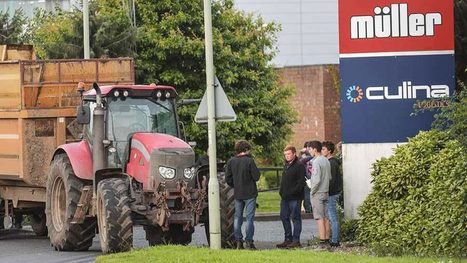 UK : Manifestations des éleveurs contre le gel du prix du lait par Müller | Lait de Normandie... et d'ailleurs | Scoop.it