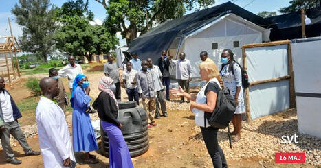 Ebola-utbrottet orsakat av ovanlig virusvariant | 1Uutiset - Lukemisen t&auml;hden | Scoop.it