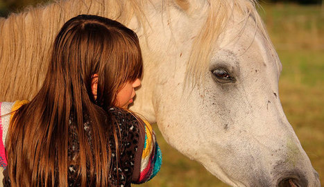 La terapia con caballos es efectiva en niños con retraso psicomotor - LaRed21 (Comunicado de prensa) (Registro) | Caballo, Caballos | Scoop.it