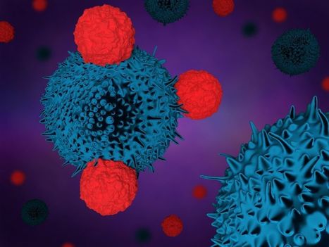 Immunothérapie : un malade sur 4 répond bien au traitement | Life Sciences Université Paris-Saclay | Scoop.it