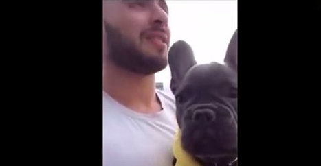 Mies sai lenkill&auml; per&auml;&auml;ns&auml; Pugachun &ndash; somevideosta nettihitti - Stara | 1Uutiset - Lukemisen t&auml;hden | Scoop.it