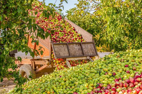 MOLDOVA: Enlargement and the future of agriculture&nbsp; | EUROPES | Scoop.it