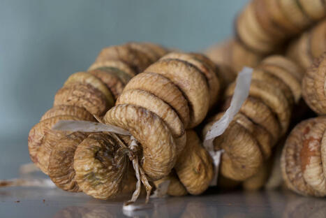 MAROC : Coop&eacute;rative TIMOURAS : Coop&eacute;rative de jeunes producteurs de c&acirc;pres et de figues dans la province de Taounate | CIHEAM Press Review | Scoop.it