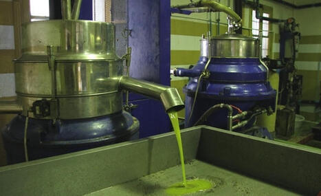 TUNISIE : Huile d&rsquo;olive&nbsp;: la sp&eacute;culation des lobbies locaux en connivence avec des acteurs &eacute;trangers | CIHEAM Press Review | Scoop.it