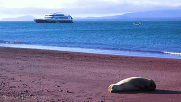 Gal&aacute;pagossaarten luonto ja maa, Ecuador 4K-laadulla | Watch | 1Uutiset - Lukemisen t&auml;hden | Scoop.it