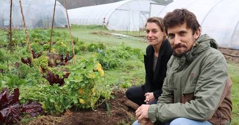 Lorient. Une ferme mara&icirc;ch&egrave;re &agrave; Bois-du-Ch&acirc;teau | L'actualit&eacute; des quartiers politique de la ville de Bretagne et Pays de la Loire | Scoop.it
