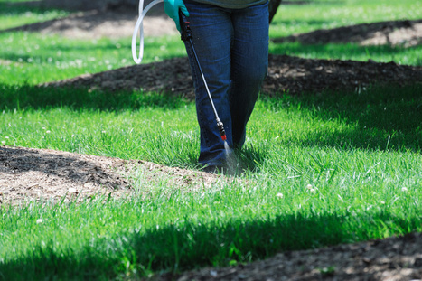 Les règles d'interdiction des pesticides dans les lieux publics ou privés évoluent | Environnement et technique | Scoop.it