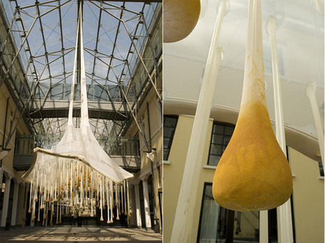 Ernesto Neto: installation | Art Installations, Sculpture, Contemporary Art | Scoop.it