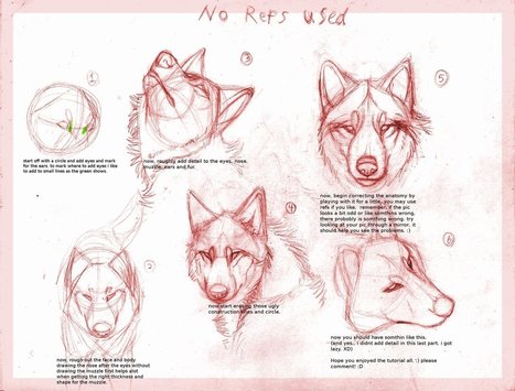 Wolf drawing tutorial | Drawing and Painting Tutorials | Scoop.it