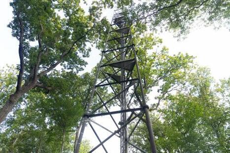 La station de Barbeau, une plateforme de recherche install&eacute;e en pleine for&ecirc;t pour suivre l&rsquo;&eacute;cosyst&egrave;me | ECOLOGIE - ENVIRONNEMENT | Scoop.it