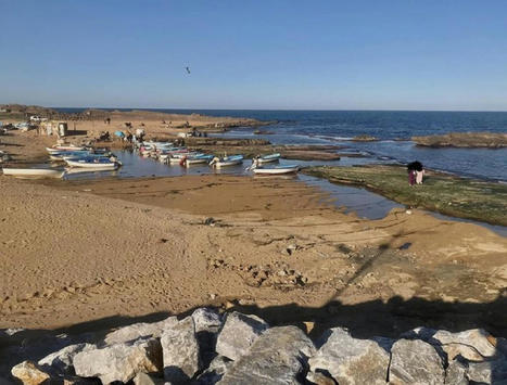 Recul du niveau de la mer en ALGERIE : faut-il s'inquiéter ? | CIHEAM Press Review | Scoop.it