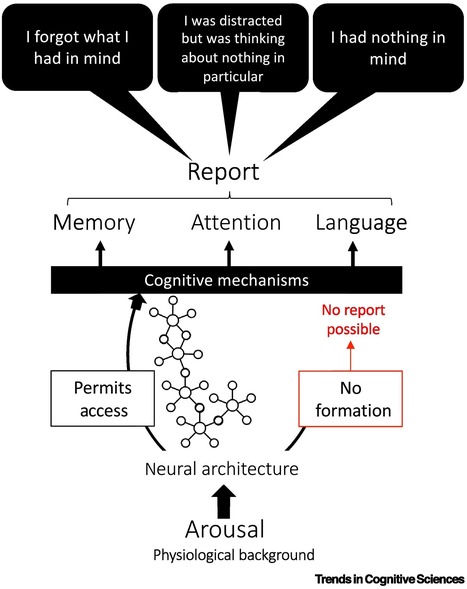 La révolution des neurosciences cognitives | EntomoScience | Scoop.it