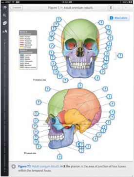 Interactive Smart Phone and Tablet Medical Textbooks Gain Traction | Amazing Science | Scoop.it
